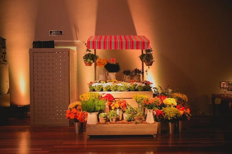 Isla-26